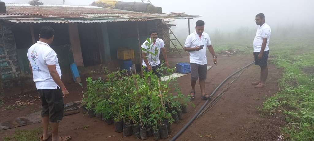 Environment & Plants